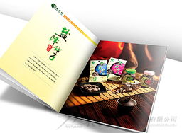 東莞與貴州 從實(shí)體廣告創(chuàng)意到數(shù)字軟件開發(fā)的商業(yè)服務(wù)聯(lián)動(dòng)